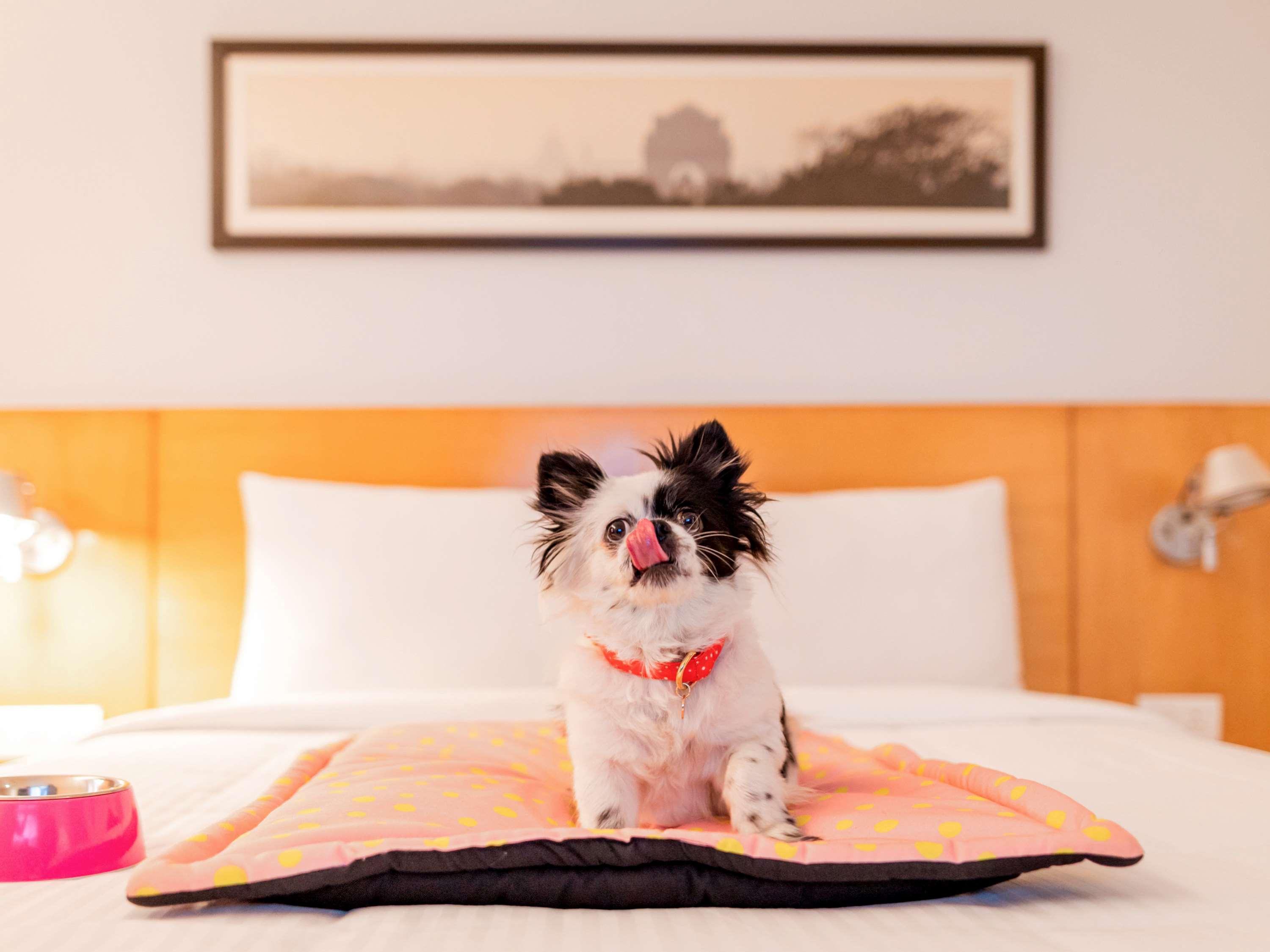 Hotel Ibis Chennai Omr - An Accor Brand Exteriér fotografie