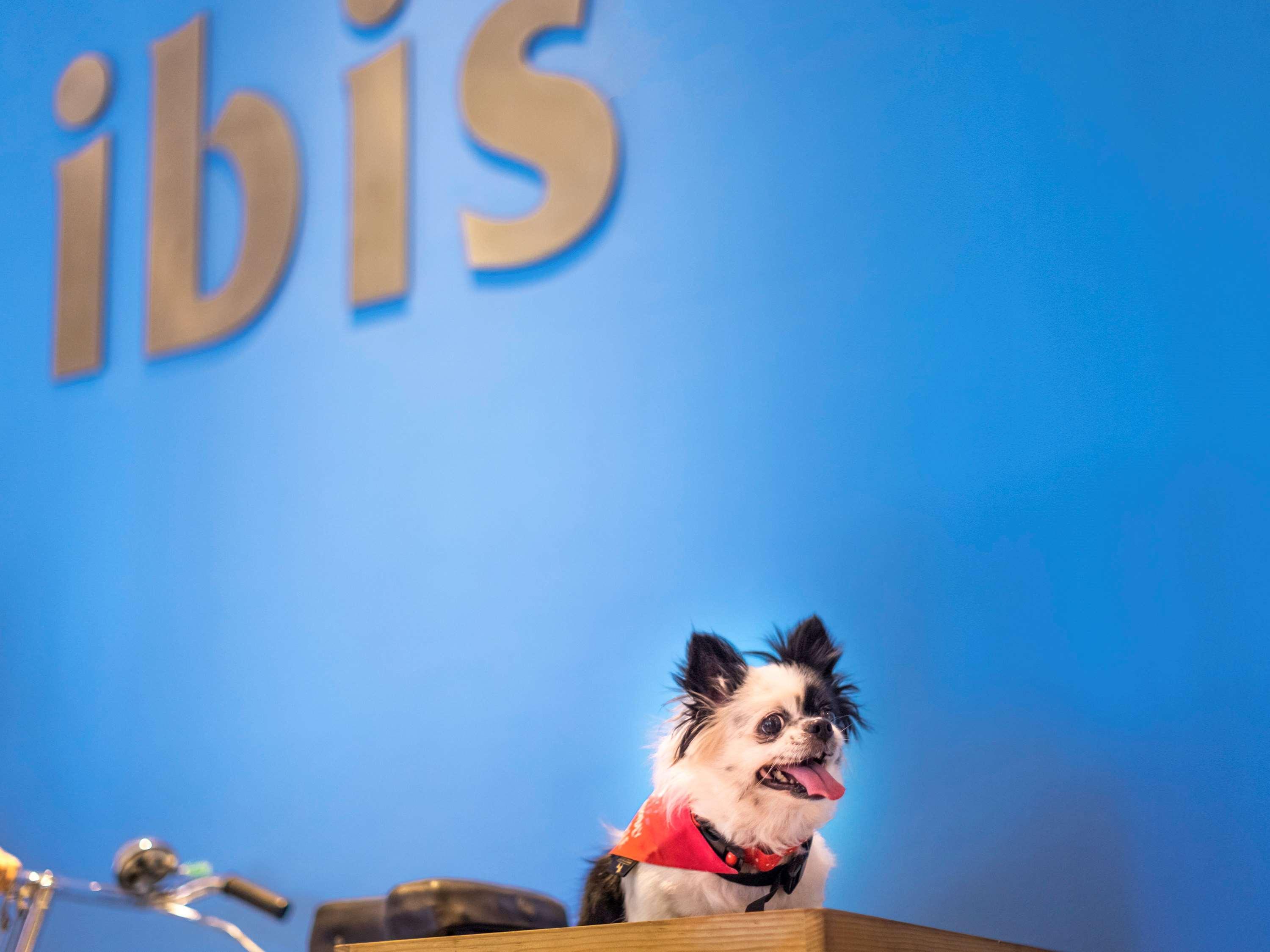 Hotel Ibis Chennai Omr - An Accor Brand Exteriér fotografie